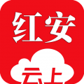 云上红安安卓版