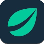 比特币交易所bitfinex