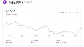 MATIC马蹄币现在价格是多少了  MATIC马蹄币最新价格是多少