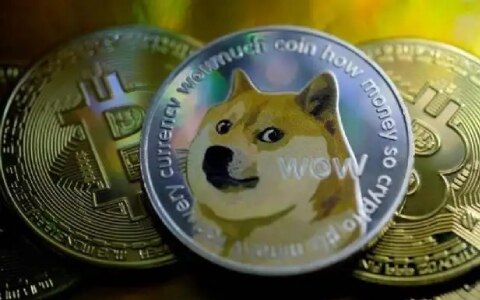 十大虚拟货币排名 比特第一狗狗币上榜-第3张图片-欧易下载