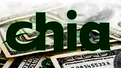 奇亚币客户端手机app 奇亚币交易中心app中文版下载-第1张图片-欧易下载