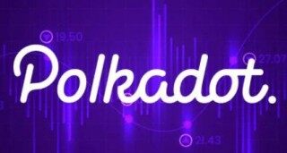 dot币平台最新下载 dot币平台最新版下载最新