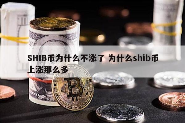 SHIB币为什么不涨了 为什么shib币上涨那么多 第1张 SHIB币为什么不涨了 为什么shib币上涨那么多 第1张