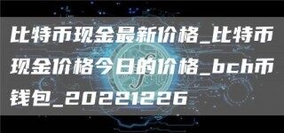 比特币现金最新价格_比特币现金价格今日的价格_bch币钱包_20221226