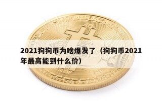 2021狗狗币为啥爆发了（狗狗币2021年更高能到什么价）