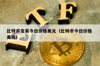 比特币交易今日价格美元（比特币今日价格 美元）