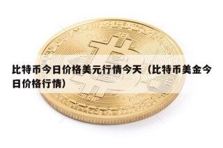 比特币今日价格美元行情今天（比特币美金今日价格行情）