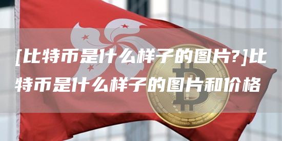 [比特币是什么样子的图片?]比特币是什么样子的图片和价格-第1张图片-欧意下载