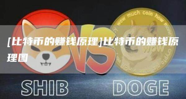 [比特币的赚钱原理]比特币的赚钱原理图-第1张图片-欧意下载