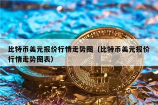 比特币美元报价行情走势图（比特币美元报价行情走势图表）