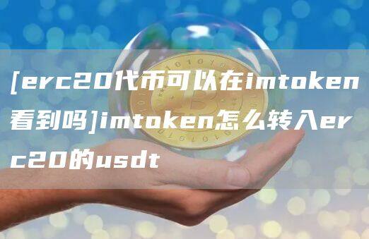 [erc20代币可以在imtoken看到吗]imtoken怎么转入erc20的usdt-第1张图片-欧意下载