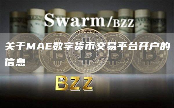 关于MAE数字货币交易平台开户的信息-第1张图片-欧意下载