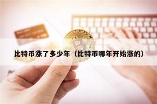 比特币涨了多少年（比特币哪年开始涨的）