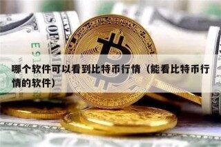 哪个软件可以看到比特币行情（能看比特币行情的软件）