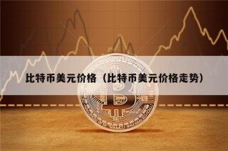 比特币美元价格（比特币美元价格走势）