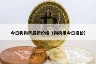 今日狗狗币最新价格（狗狗币今日报价）