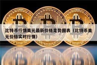 比特币行情美元最新价格走势图表（比特币美元价格实时行情）