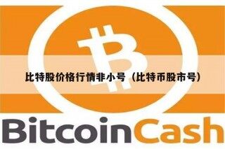 比特股价格行情非小号（比特币股市号）