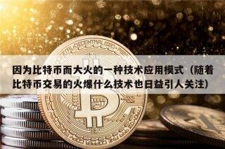 因为比特币而大火的一种技术应用模式（随着比特币交易的火爆什么技术也日益引人关注）