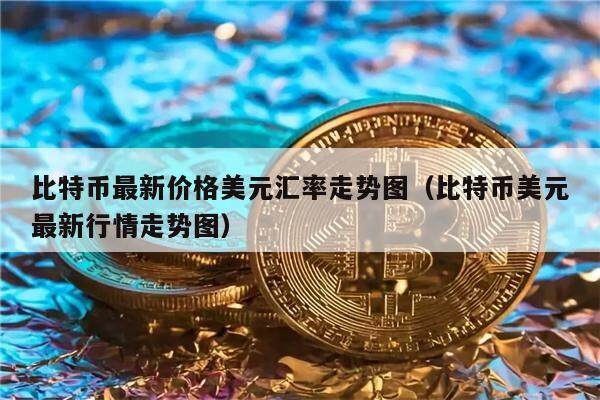 比特币最新价格美元汇率走势图（比特币美元最新行情走势图）-第1张图片-欧意下载