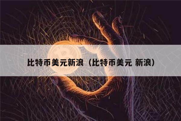 比特币美元新浪（比特币美元 新浪）-第1张图片-欧意下载