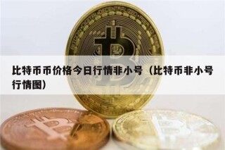 比特币币价格今日行情非小号（比特币非小号行情图）