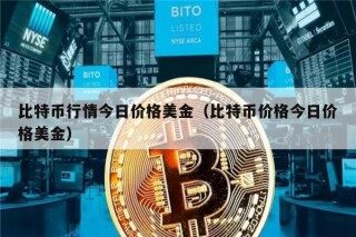 比特币行情今日价格美金（比特币价格今日价格美金）