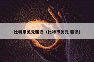 比特币美元新浪（比特币美元 新浪）