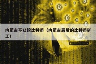 内蒙古不让挖比特币（内蒙古最后的比特币矿工）