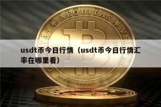 usdt币今日行情（usdt币今日行情汇率在哪里看）