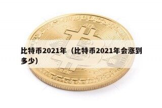 比特币2021年（比特币2021年会涨到多少）