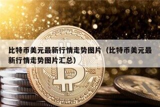 比特币美元最新行情走势图片（比特币美元最新行情走势图片汇总）