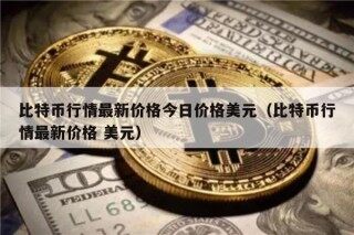 比特币行情最新价格今日价格美元（比特币行情最新价格 美元）