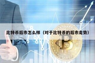 比特币后市怎么样（对于比特币的后市走势）