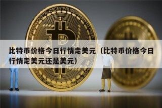 比特币价格今日行情走美元（比特币价格今日行情走美元还是美元）