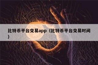 比特币平台交易app（比特币平台交易时间）