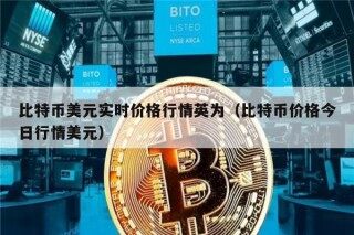比特币美元实时价格行情英为（比特币价格今日行情美元）