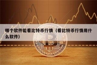 哪个软件能看比特币行情（看比特币行情用什么软件）