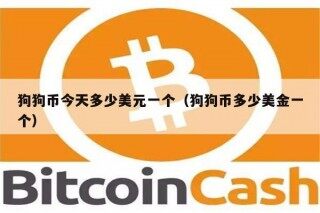 狗狗币今天多少美元一个（狗狗币多少美金一个）