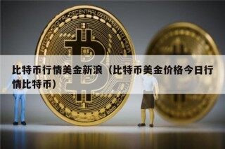 比特币行情美金新浪（比特币美金价格今日行情比特币）