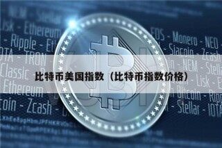 比特币美国指数（比特币指数价格）