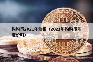 狗狗币2021年涨幅（2021年狗狗币能涨价吗）