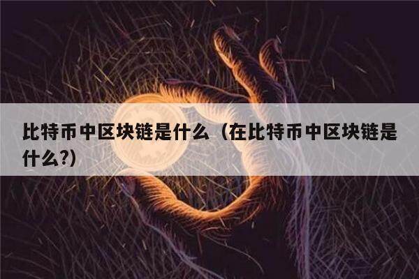 比特币中区块链是什么（在比特币中区块链是什么?）-第1张图片-欧意下载
