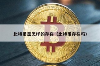 比特币是怎样的存在（比特币存在吗）