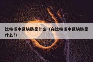 比特币中区块链是什么（在比特币中区块链是什么?）
