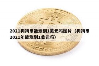 2021狗狗币能涨到1美元吗图片（狗狗币2021年能涨到1美元吗）