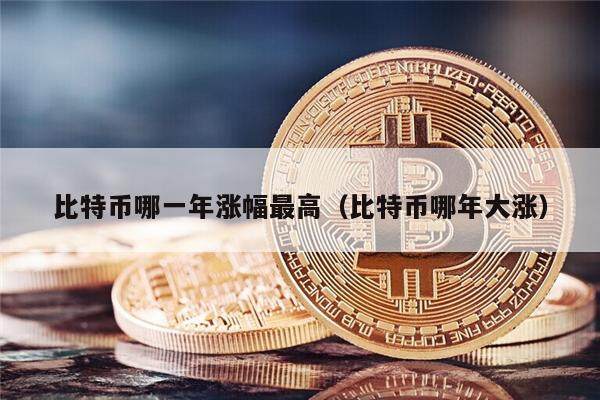 比特币哪一年涨幅最高（比特币哪年大涨）-第1张图片-欧意下载