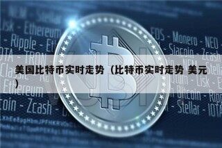 美国比特币实时走势（比特币实时走势 美元）