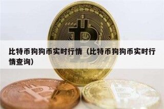 比特币狗狗币实时行情（比特币狗狗币实时行情查询）