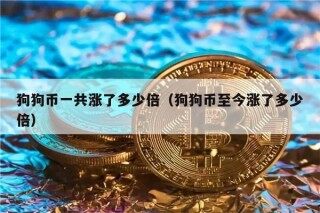 狗狗币一共涨了多少倍（狗狗币至今涨了多少倍）